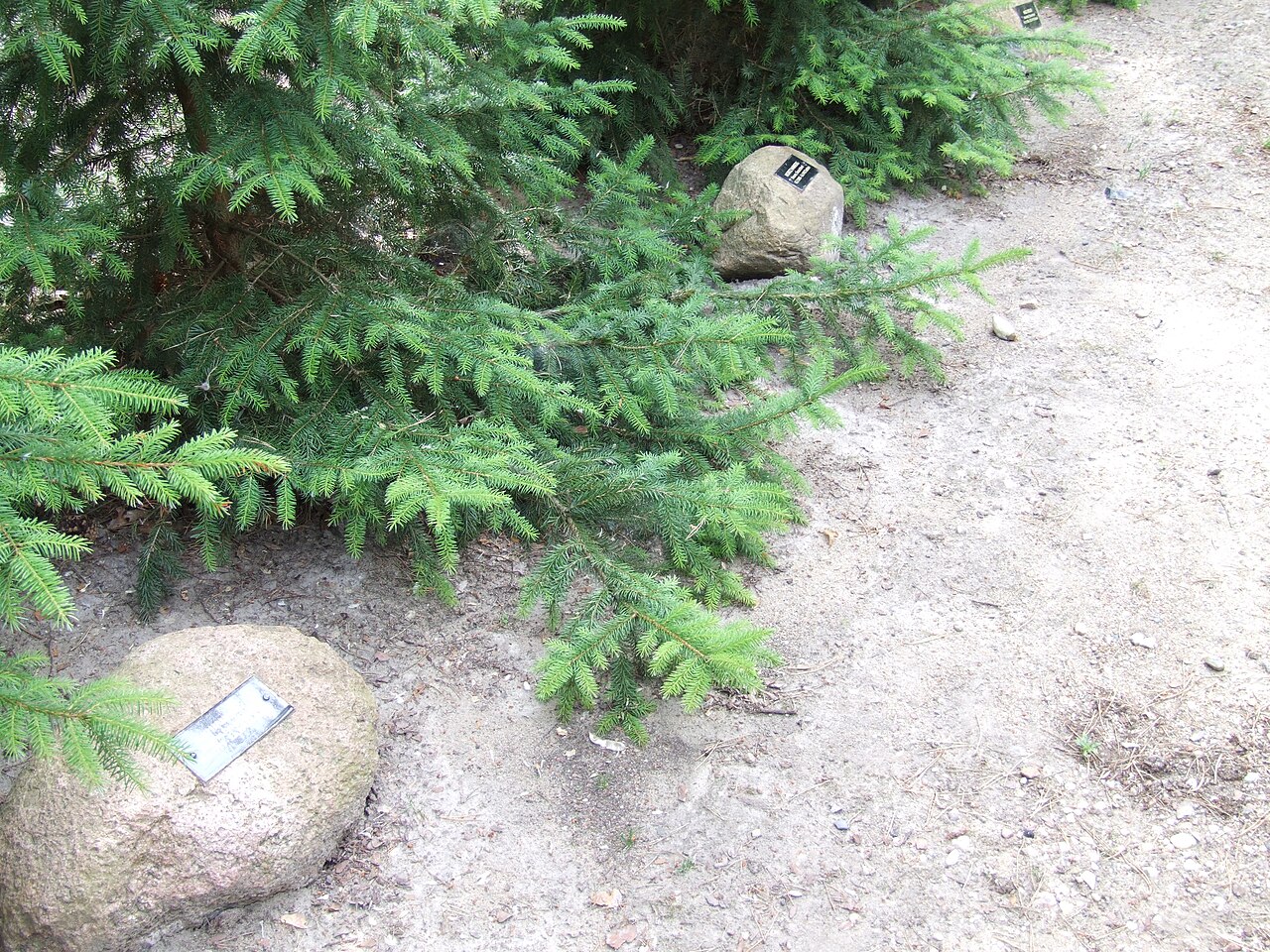 Memorial landscape at the former Sobibor extermination camp